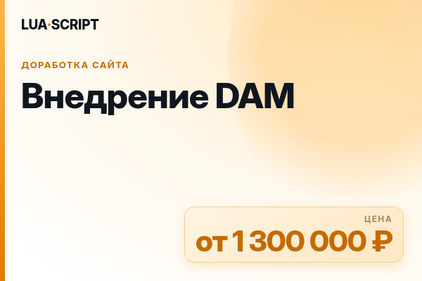 Внедрение DAM