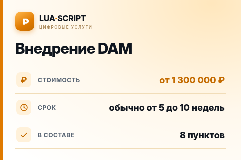 Внедрение DAM — цена, срок и состав услуги